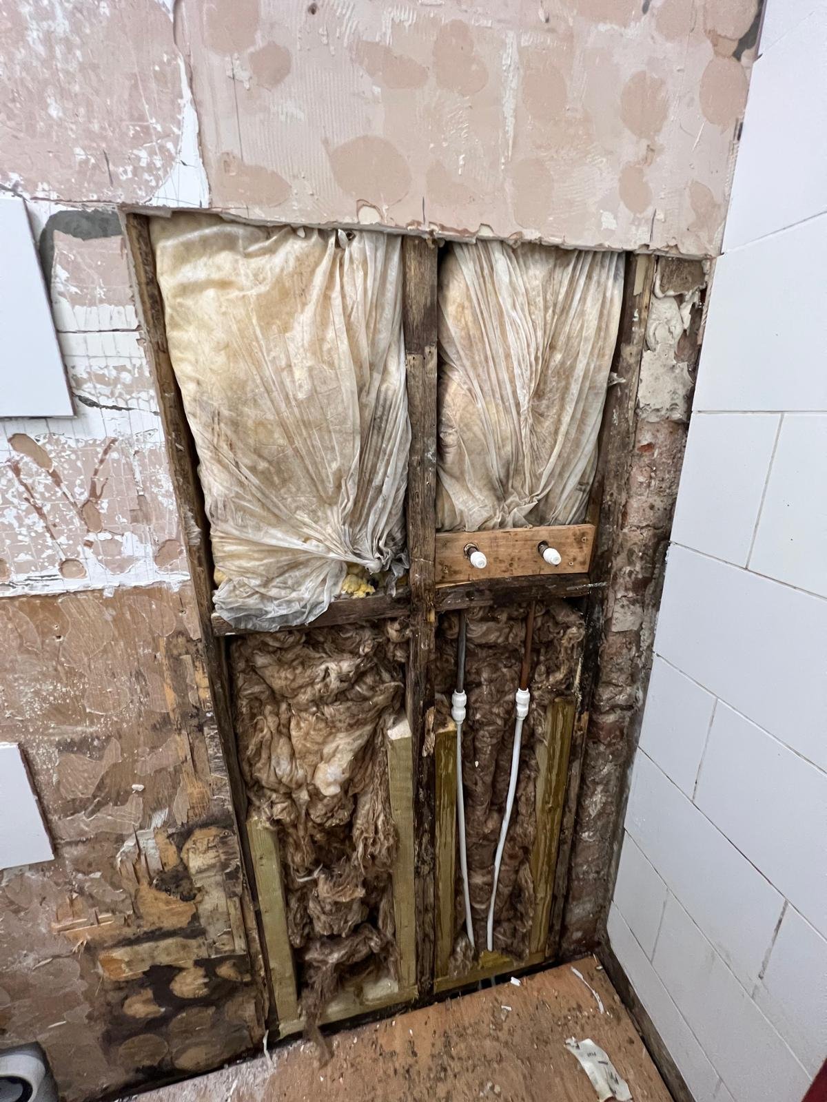 Floor Joist Replacement